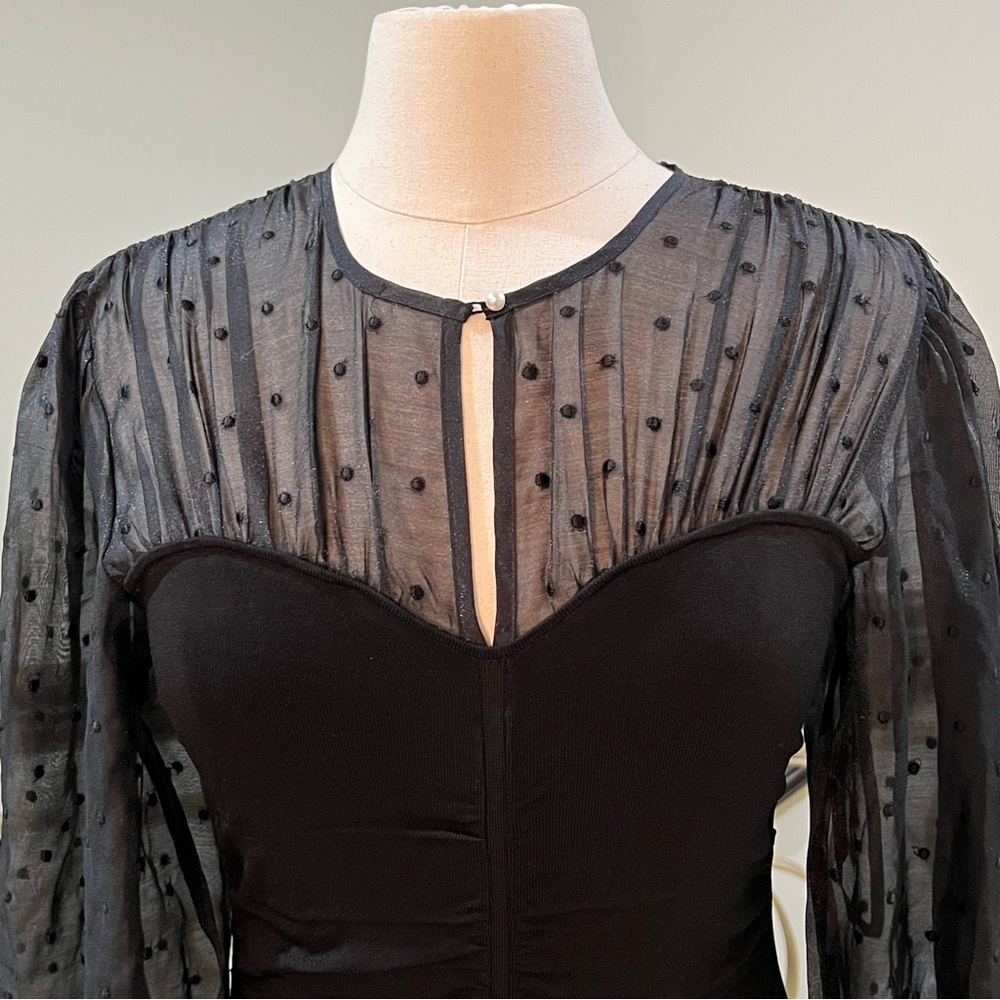 NWT Sandro Balmora Swiss Dot Long Sheer Sleeve Mini Dress - Picture 3 of 15